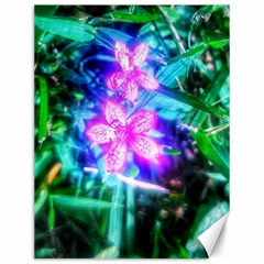 Glowing Flowers Canvas 12  X 16  by okhismakingart