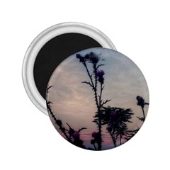 Hazy Thistles 2 25  Magnets by okhismakingart