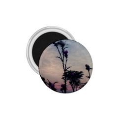 Hazy Thistles 1 75  Magnets by okhismakingart