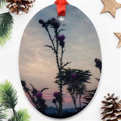 Hazy Thistles Oval Ornament (two Sides) by okhismakingart