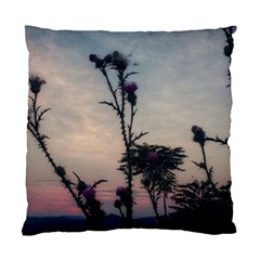 Hazy Thistles Standard Cushion Case (one Side) by okhismakingart