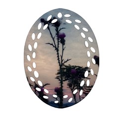 Hazy Thistles Oval Filigree Ornament (two Sides) by okhismakingart