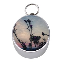 Hazy Thistles Mini Silver Compasses by okhismakingart