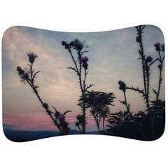 Hazy Thistles Velour Seat Head Rest Cushion by okhismakingart