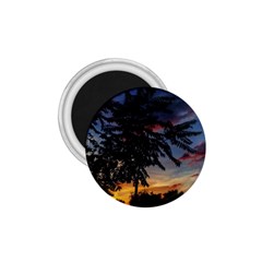 Sumac Sunset 1 75  Magnets by okhismakingart