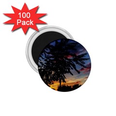 Sumac Sunset 1 75  Magnets (100 Pack)  by okhismakingart