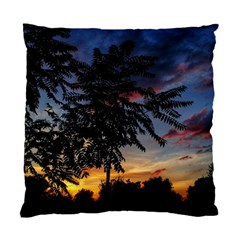 Sumac Sunset Standard Cushion Case (two Sides) by okhismakingart