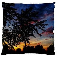 Sumac Sunset Large Flano Cushion Case (one Side) by okhismakingart