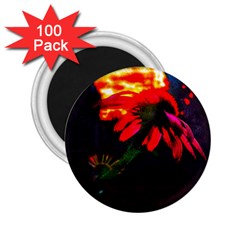 Neon Cone Flower 2 25  Magnets (100 Pack)  by okhismakingart