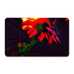 Neon Cone Flower Magnet (rectangular) by okhismakingart