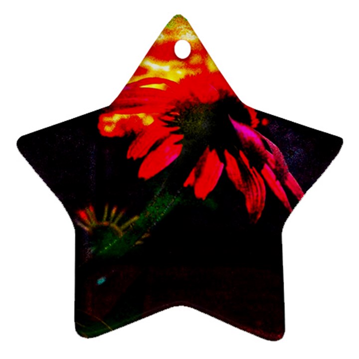 Neon Cone Flower Star Ornament (Two Sides)