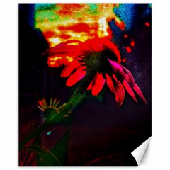 Neon Cone Flower Canvas 11  X 14 