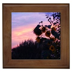 Sunflower Sunset Ii Framed Tiles by okhismakingart