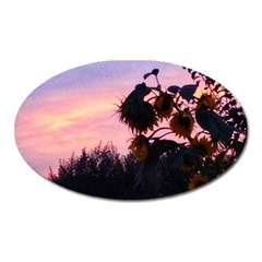 Sunflower Sunset Ii Oval Magnet by okhismakingart