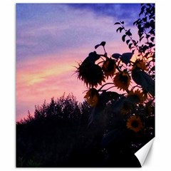 Sunflower Sunset Ii Canvas 20  X 24  by okhismakingart