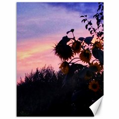 Sunflower Sunset Ii Canvas 36  X 48  by okhismakingart