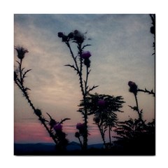 Hazy Thistles Tile Coasters by okhismakingart