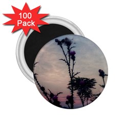 Hazy Thistles 2 25  Magnets (100 Pack)  by okhismakingart