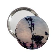 Hazy Thistles 2 25  Handbag Mirrors by okhismakingart