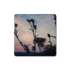 Hazy Thistles Square Magnet by okhismakingart