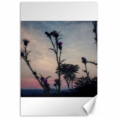 Hazy Thistles Canvas 20  X 30  by okhismakingart