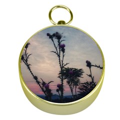 Hazy Thistles Gold Compasses by okhismakingart