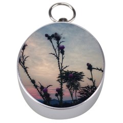 Hazy Thistles Silver Compasses by okhismakingart