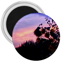 Sunflower Sunset Ii 3  Magnets by okhismakingart