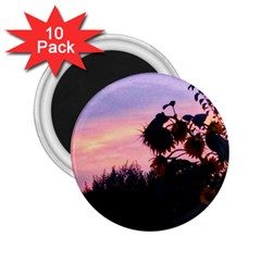 Sunflower Sunset Ii 2 25  Magnets (10 Pack)  by okhismakingart