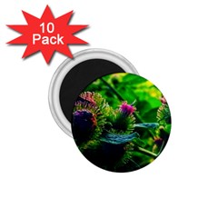 Bur Flowers 1 75  Magnets (10 Pack)  by okhismakingart