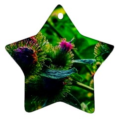 Bur Flowers Star Ornament (two Sides) by okhismakingart