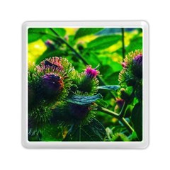 Bur Flowers Memory Card Reader (square) by okhismakingart