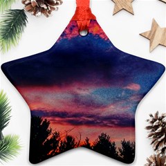 Afternoon Majesty Ornament (star) by okhismakingart