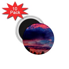 Afternoon Majesty 1 75  Magnets (10 Pack)  by okhismakingart