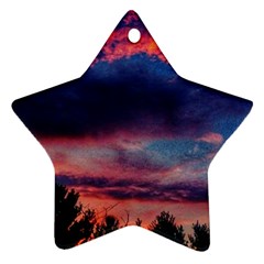 Afternoon Majesty Star Ornament (two Sides) by okhismakingart