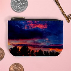 Afternoon Majesty Mini Coin Purse by okhismakingart