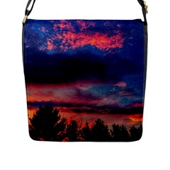 Afternoon Majesty Flap Closure Messenger Bag (l) by okhismakingart