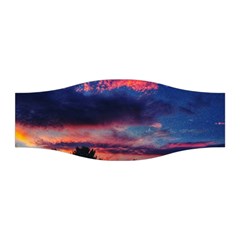 Afternoon Majesty Stretchable Headband by okhismakingart