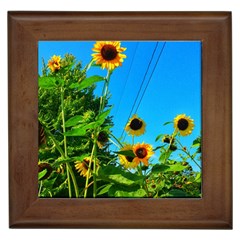 Bright Sunflowers Framed Tiles by okhismakingart