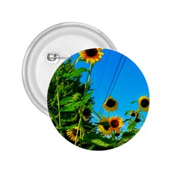 Bright Sunflowers 2 25  Buttons by okhismakingart