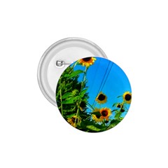 Bright Sunflowers 1 75  Buttons by okhismakingart