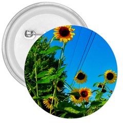 Bright Sunflowers 3  Buttons by okhismakingart