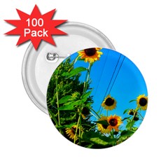 Bright Sunflowers 2 25  Buttons (100 Pack)  by okhismakingart