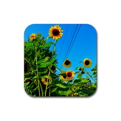 Bright Sunflowers Rubber Coaster (square)  by okhismakingart