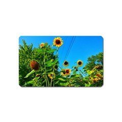 Bright Sunflowers Magnet (name Card) by okhismakingart