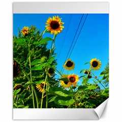 Bright Sunflowers Canvas 16  X 20  by okhismakingart