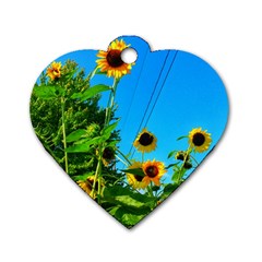 Bright Sunflowers Dog Tag Heart (two Sides) by okhismakingart