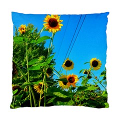 Bright Sunflowers Standard Cushion Case (one Side) by okhismakingart