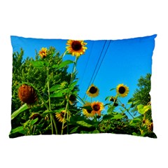 Bright Sunflowers Pillow Case (two Sides) by okhismakingart