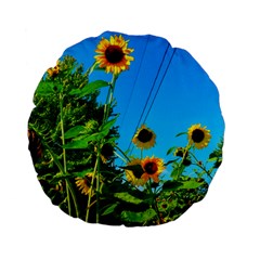 Bright Sunflowers Standard 15  Premium Flano Round Cushions by okhismakingart